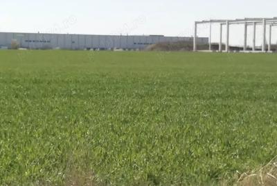Teren de 25000 mp, în Giarmata - 5