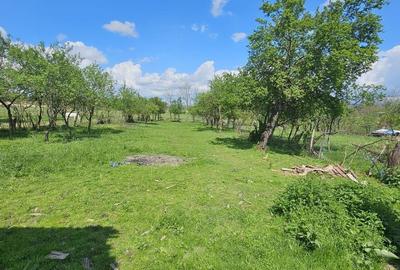 Casă cu 4 camere cu Teren 1427 Mp în Sâmbăta - 6