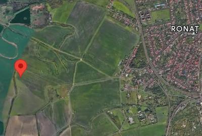 Teren de 10900 mp, în Ronaț - 1