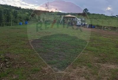 Teren în Săldăbagiu de Munte