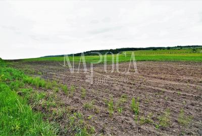 Teren Construcții extravilan de 5800 mp, în Popești - 5