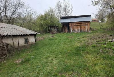 Casă cu 4 camere cu Teren 35000 Mp în Nadanova - 3