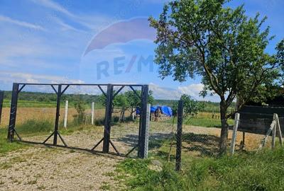 Teren de 4135 mp, în Sarasău - 5