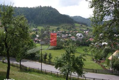 Teren de 3214 mp, în Rucăr - 5