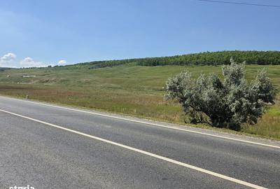 Teren de 10000 mp, în Uricani - 1