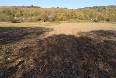 Teren de 2400 mp, în Central