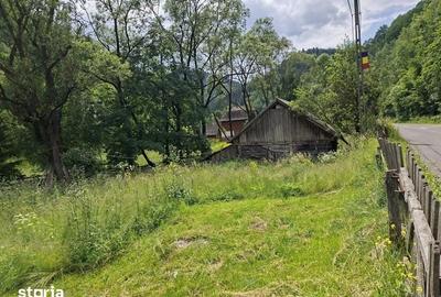 Teren de 4000 mp, în Băișoara