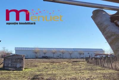 Casă cu 4 camere cu Teren 2013 Mp în Murighiol - 3
