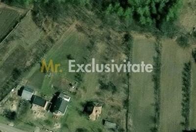 Casă cu Teren 4226 Mp în Băbana