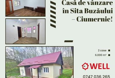 Casă cu 3 camere cu Teren 6000 Mp în Sita Buzăului