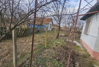Casă cu Teren 1500 Mp în Nițchidorf - 5
