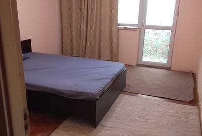 Apartament cu 3 camere decomandat, mobilat în Valea Rosie
