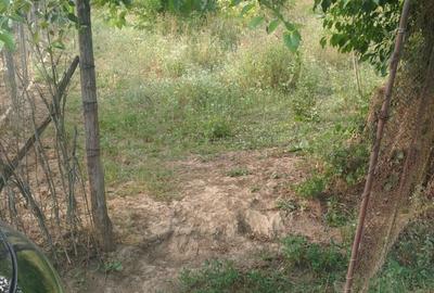 Teren agricol intravilan de 780 mp, în Mocești - 3