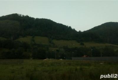 Teren de 2000 mp, în Rucăr