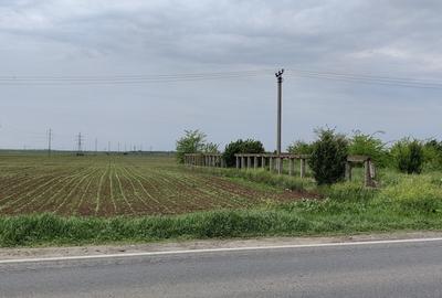 Teren de 7500 mp, în Centură - 2