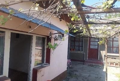 Casă cu Teren 500 Mp în Central - 3