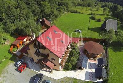 Casă individuală cu 19 camere cu Teren 9669 Mp în Mărgău - 29