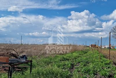 Teren Construcții intravilan de 5000 mp, în Sacoșu Turcesc - 2