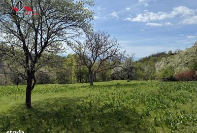 Spațiu comercial, în Valea Vințului - 14