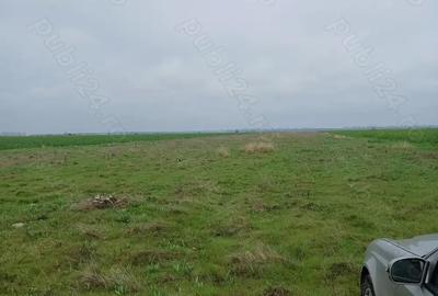 Teren de 27000 mp, în Vânători - 3
