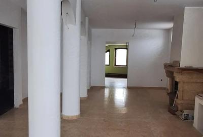 Spațiu comercial, de 350 mp, în Ultracentral - 1
