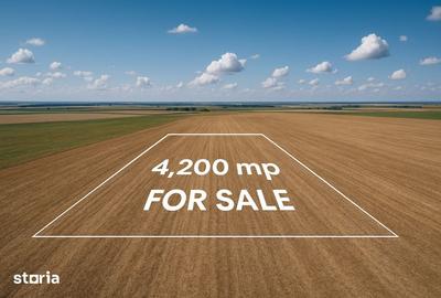 Teren de 4200 mp, în Daia Română