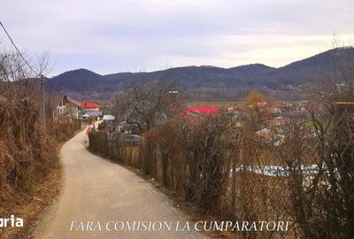 Teren de 350 mp, în Vlădești