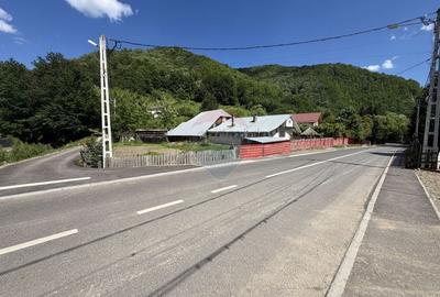 Teren Construcții intravilan de 1500 mp, în Lepșa - 13