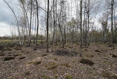 Teren de 15000 mp, în Izvoru - 6
