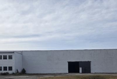 Spațiu industrial, de 10,550 mp, în Sud - 2