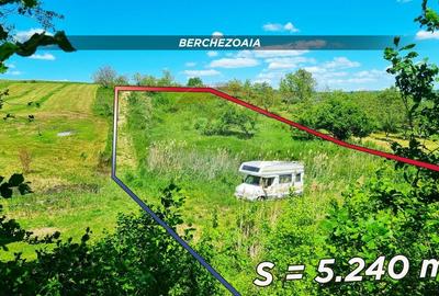 Teren agricol extravilan de 5240 mp, în Berchezoaia - 3