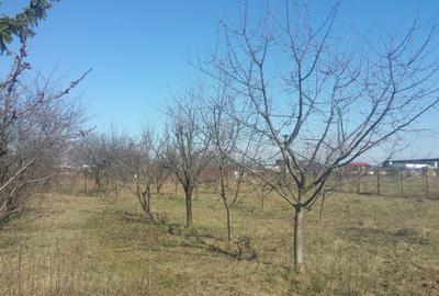Teren Construcții intravilan de 900 mp, în Noua - 5