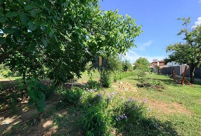 Casă individuală cu 4 camere cu Canalizare în Dumbrăvița - 10