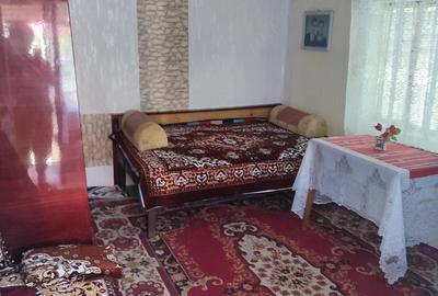 Casă cu 3 camere cu Teren 2426 Mp în Central - 6