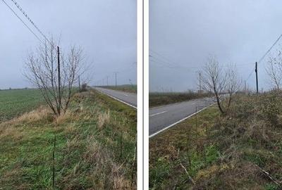 Teren de 4000 mp, în Vasilați