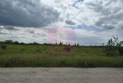 Teren de 3750 mp, în Giulești