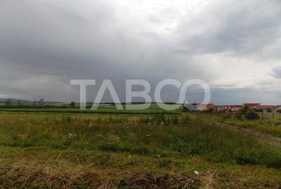 Teren Construcții extravilan de 10000 mp, în Șura Mică - 8