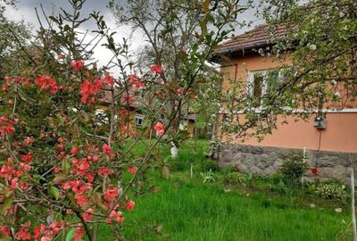 Casă cu 3 camere în Delenii - 2