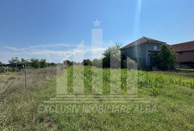 Teren Construcții intravilan de 1300 mp, în Micești - 3