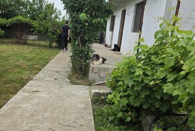 Casă cu 4 camere în Brănești