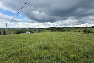 Teren agricol de 13600 mp, în Mărișel - 6