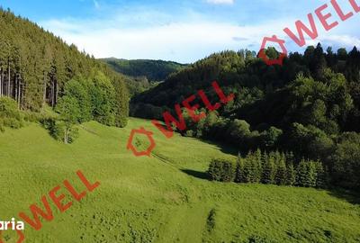 Teren de 57000 mp, în Vama Buzăului - 11