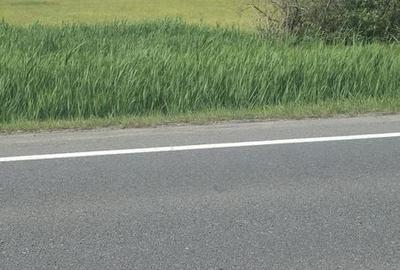 Teren de 25 mp, în Central - 5