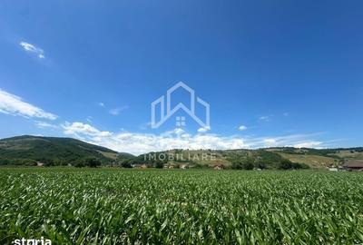 Teren de 6200 mp, în Vințu de Jos