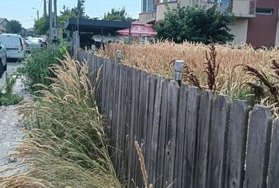 Casă cu 3 camere în Central