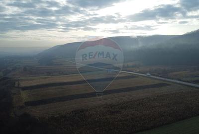 Teren Construcții intravilan de 9000 mp, în Gilău - 13
