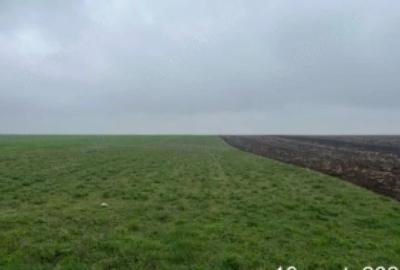 Teren de 29700 mp, în Frăsinet