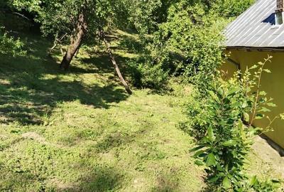 Casă cu 3 camere în Bezdead