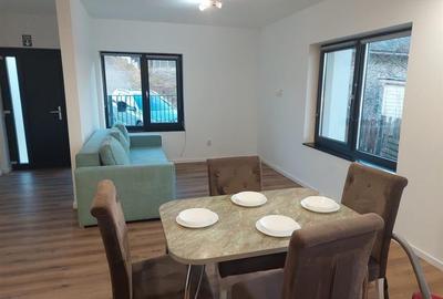 Casă individuală cu 2 camere cu Teren 40 Mp în Dezmir - 2