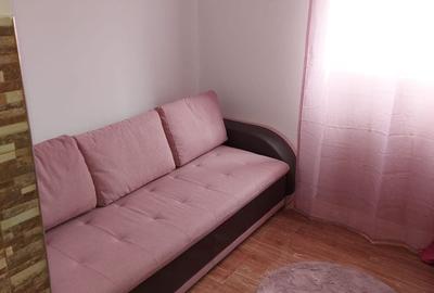 Garsonieră nedecomandată în Lotrioara - 6